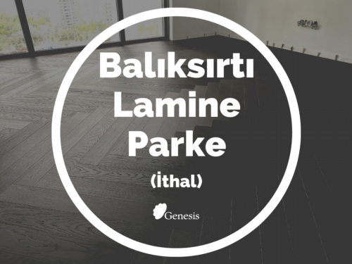 Balıksırtı İthal Lamine Parke