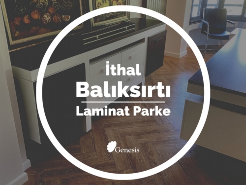 İthal Balıksırtı Laminat Parke