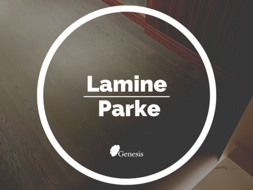 Lamine Parke